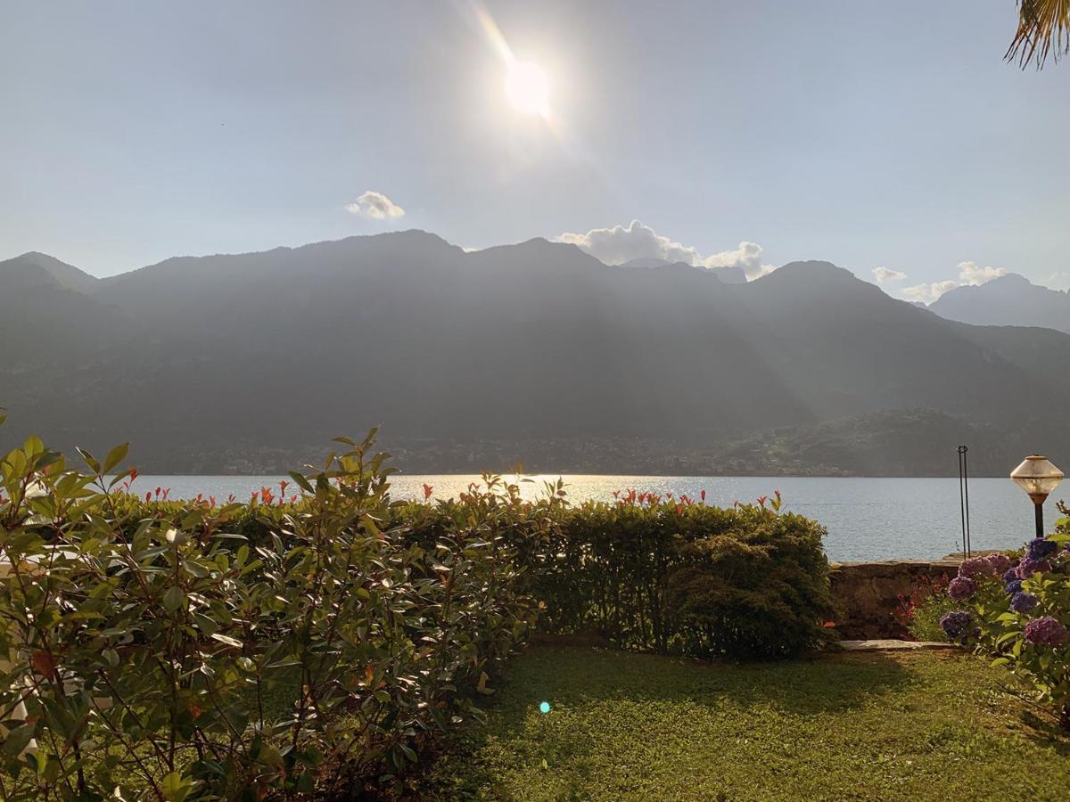 Apartmán Terrace On The Lake Oliveto Lario Exteriér fotografie